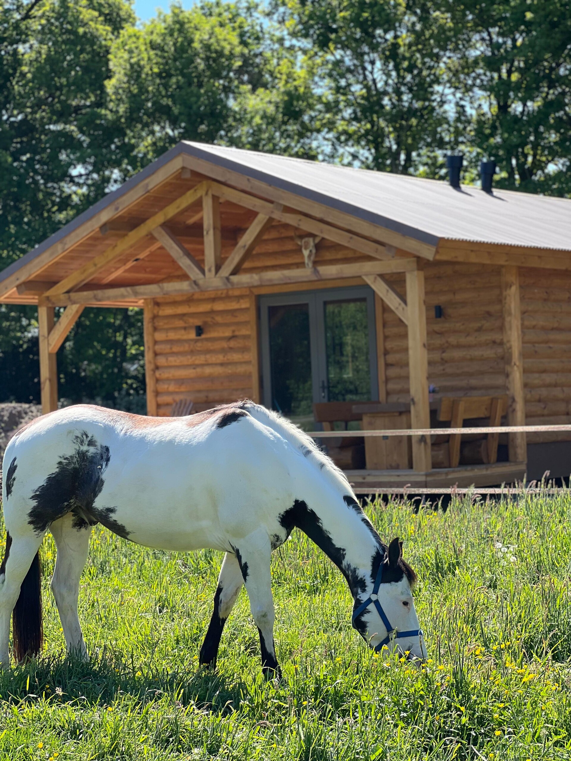 Cabins