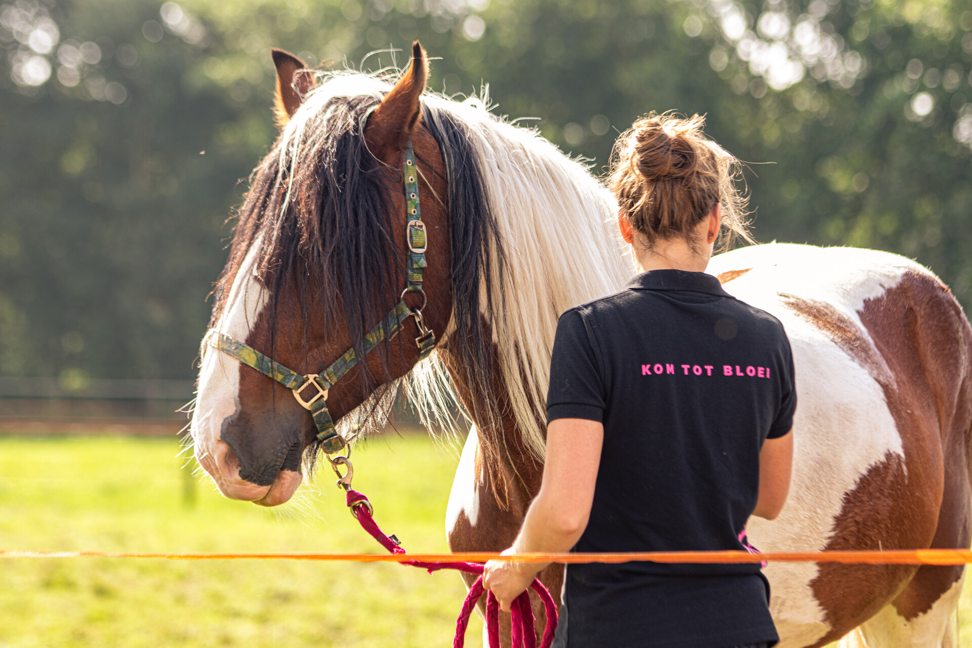 Leren omgaan met paarden