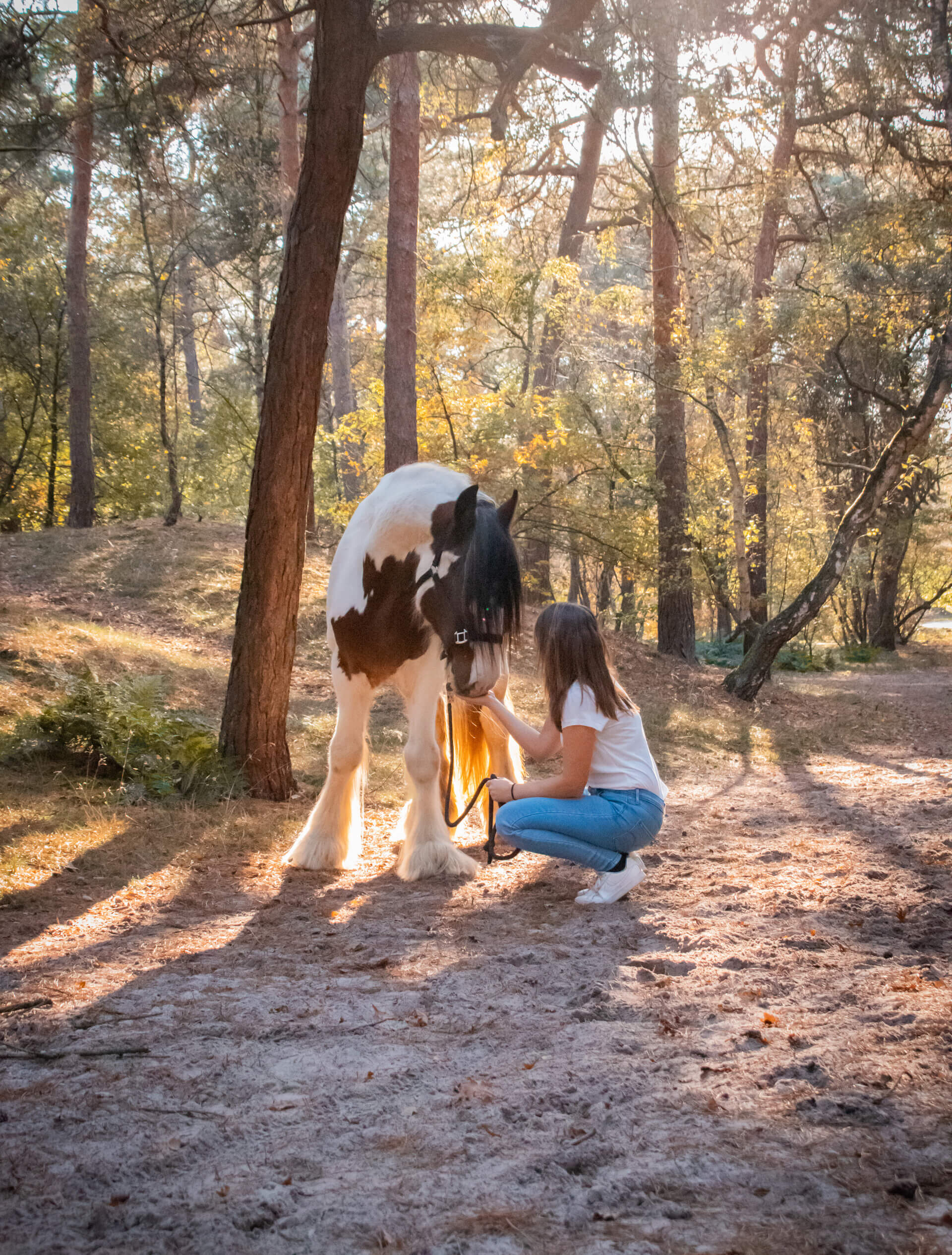 Op vakantie met je paard