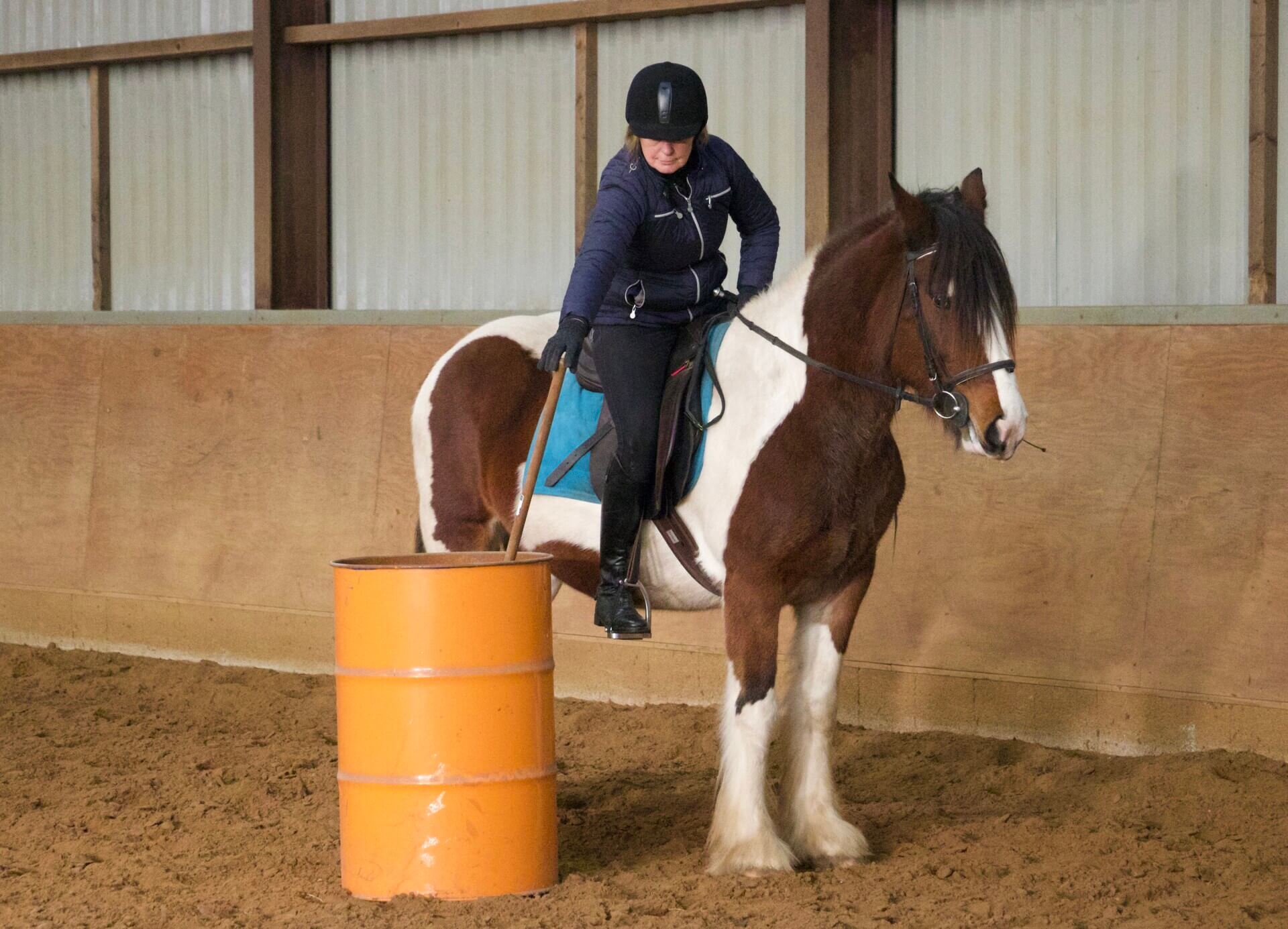 Working equitation trail