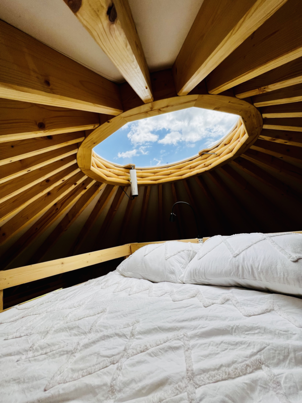Yurt Equus