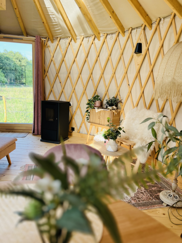Yurt Solea & Yurt Equus