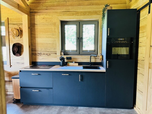 Montana Cabin