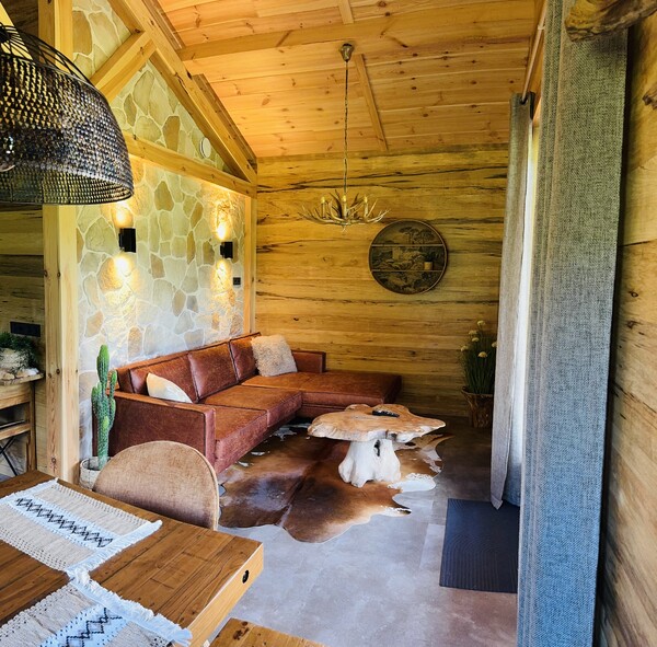 Montana Cabin