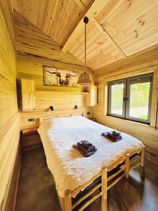Wyoming Cabin