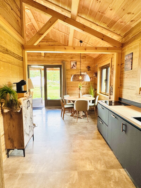 Wyoming Cabin