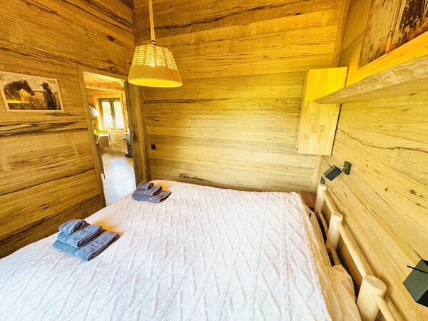 Wyoming Cabin