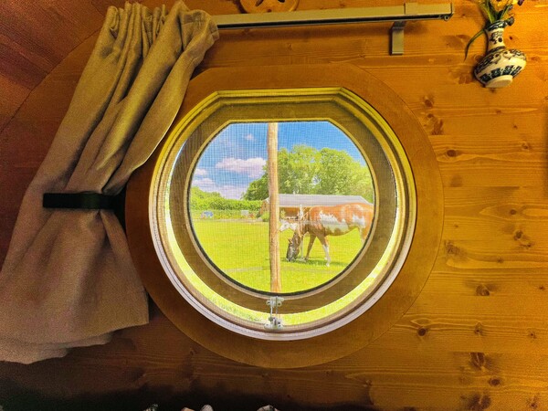 Hobbit