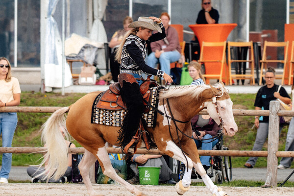 Western lessen