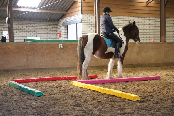 Working equitation trail