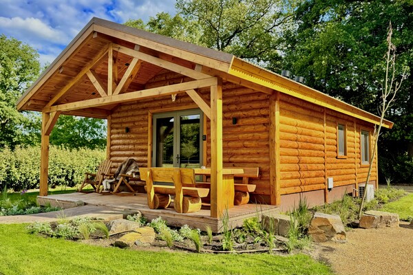 Montana Cabin