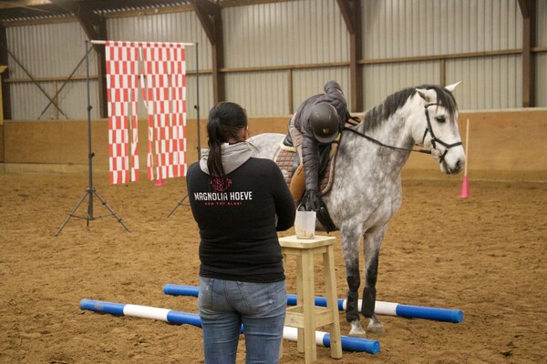 Working equitation trail