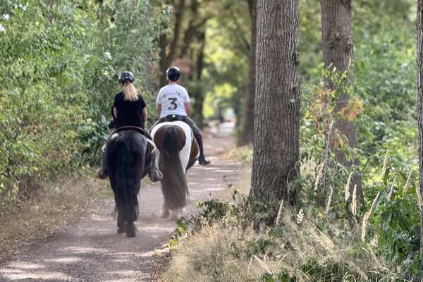 Paardenlease