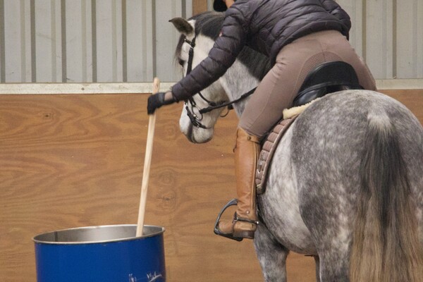 Working equitation trail