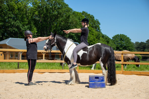 Yoga op en naast het paard