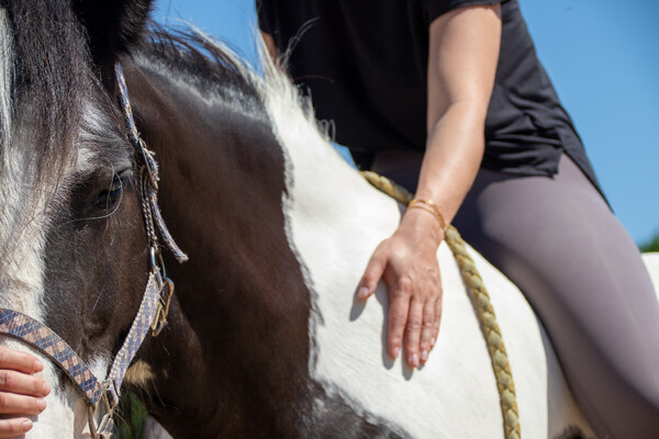 Yoga op en naast het paard