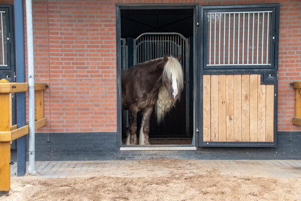 Ontdek onze Hoeve