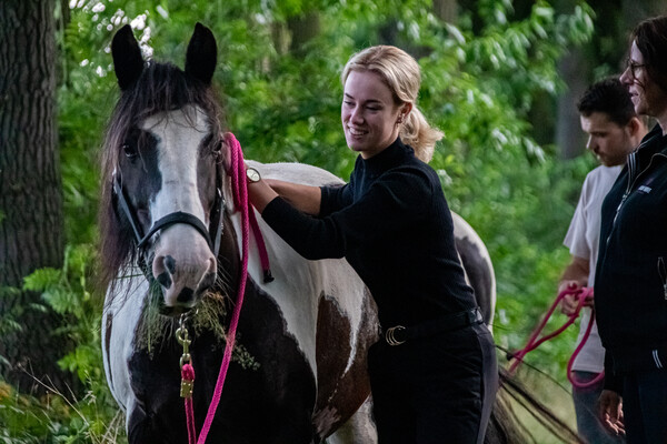 Mindfull wandelingen met paard