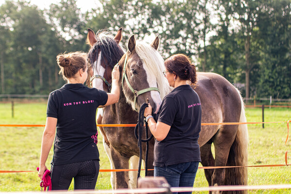 Ontdek onze Hoeve