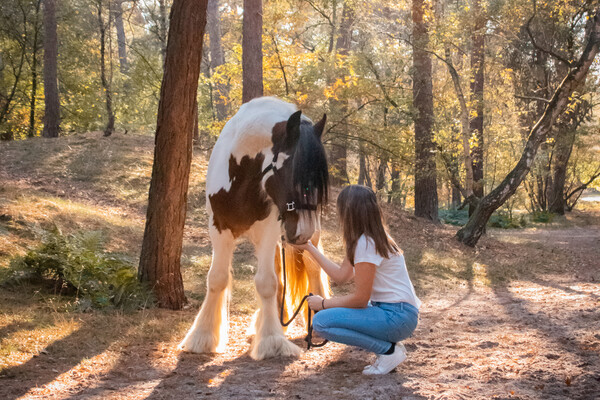 Op vakantie met je paard