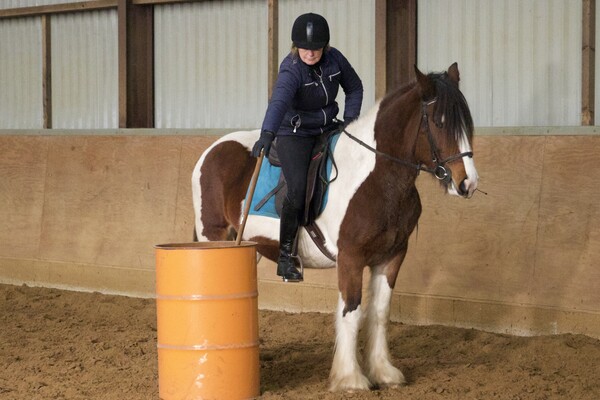 Working equitation trail